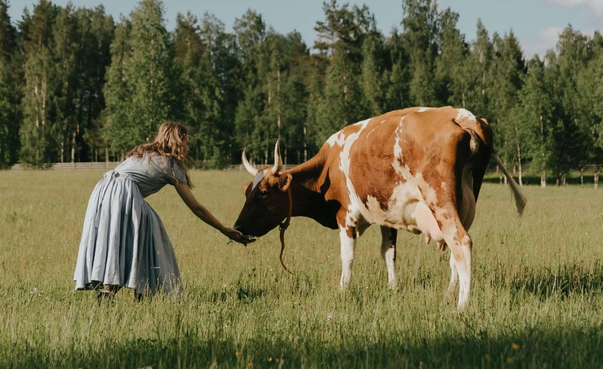 Beef Tallow for Skin: Does This Viral Trend Really Work?